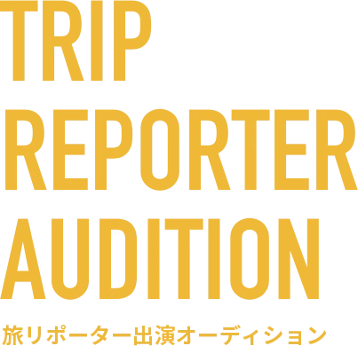 TRANSIT TRIP REPORTER AUDITION